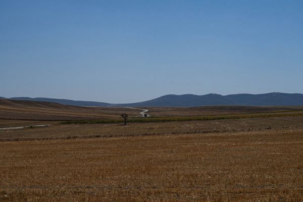 Ahi Mesut'ta Bulvara Yakın 480 m² Konut İmarlı Arsa
