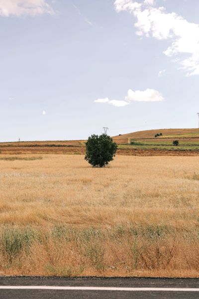 Karahasanlı'da 4.200 m² Tarla — Ana Yola 300 m